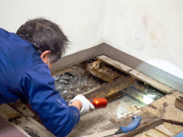 Best Crawl Space Mold Removal  in Ata, OK