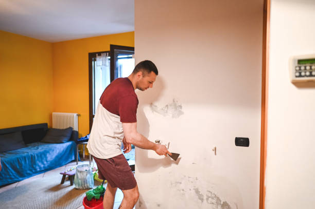 Best Professional Mold Removal  in Ata, OK