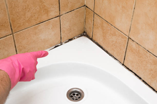 Best Office Mold Removal Services  in Ata, OK